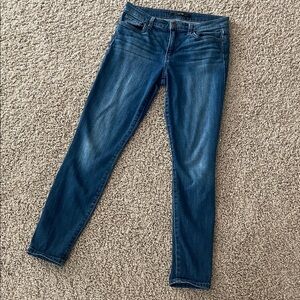 Joe’s Jeans womens 27 skinny ankle